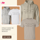Stray Kids Be Different Merch