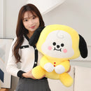 Large Bangtan21 Cartoon Plush Toys