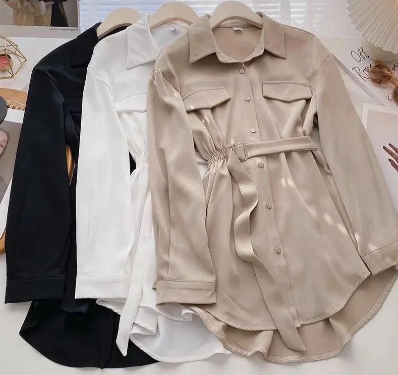 Long Sleeve Casual Polo Dress For Women