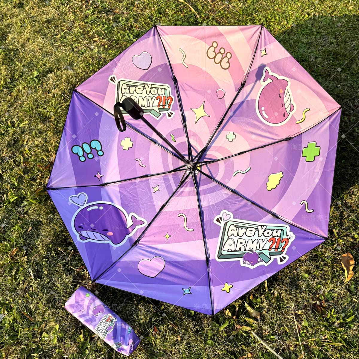 Bangtan Boys Spring Day Umbrella Accessories