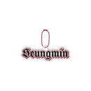 Stray Kids 2025 Sleek Keychain Accessories