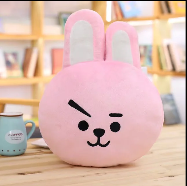 Bangtan 21 Plush Toy 35CM