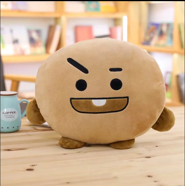 Bangtan 21 Plush Toy 35CM